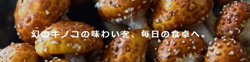 ���������������X���T�C�g